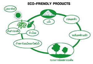 กระถางไม้ไผ่,กระถางไม้ไผ่อัด,กระถางไม้ไผ่บดอัด,กระถางย่อยสลายได้,เป็นมิตรต่อสิ่งแวดล้อม,ย่อยสลายได้, Eco Product,Eco-Friendly,Biodegradable Pot,Bio Pot,ตกแต่งบ้าน,ตกแต่งสวน,สินค้าเป็นมิตรต่อสิ่งแวดล้อม,กระถาง,กระถางต้นไม้,วัสดุจากธรรมชาติ,ธรรมชาติ,ของชำรวยงานแต่ง,ของที่ระลึกงานแต่ง,ของพรีเมียม,ของขวัญปีใหม่,ปลูกต้นไม้